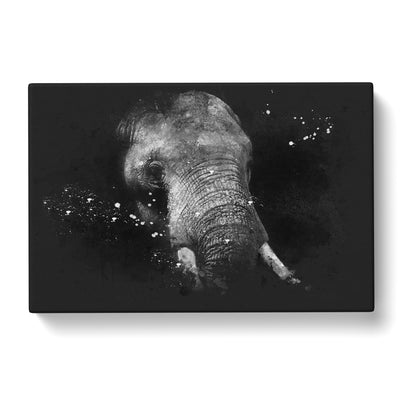 African Elephant Paint Splash Canvas Print Main Image