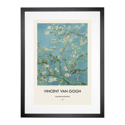 Almond Blossom Brancehs Vol.1 Print By Vincent Van Gogh Framed Print Main Image