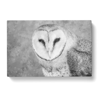Barn Owl Painting Canvas Print Main Image