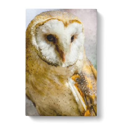 Barn Owl Vol.2 Paintingcan Canvas Print Main Image