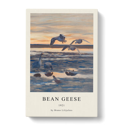 Bean Geese Shedding Print By Bruno Liljefors Canvas Print Main Image