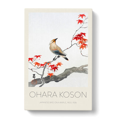Bird Upon A Maple Tree Print By Ohara Koson Canvas Print Main Image