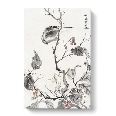 Bird & A Frog By Kawanabe Kyosai Canvas Print Main Image