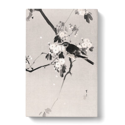 Bird On A Flowering Branch By Watanabe Seitei Canvas Print Main Image