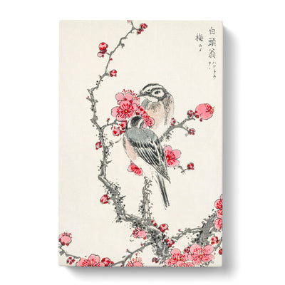 Birds Upon A Plum Tree By Numata Kashu Canvas Print Main Image
