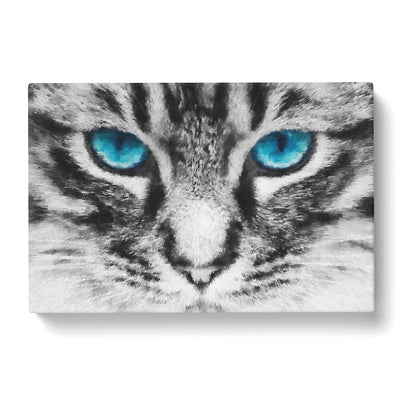 Bright Blue Cat Eyes Painting Canvas Print Main Image