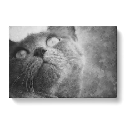 British Shorthair Cat Vol.3 Painting Canvas Print Main Image