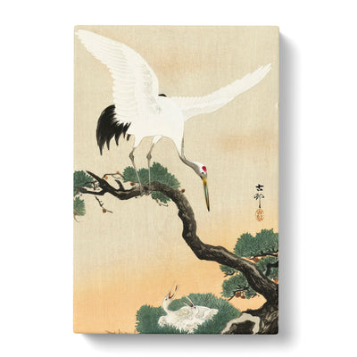 Japanese Crane Birds By Ohara Kosoncan Canvas Print Main Image