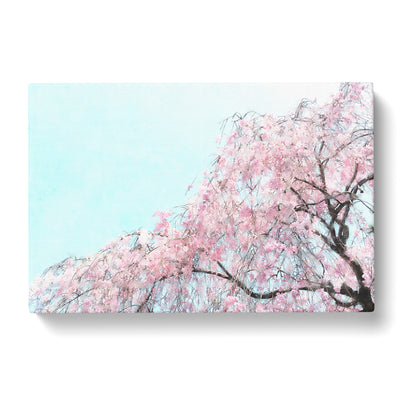 Pretty Pink Cherry Blossom Tree Painting Canvas Print Main Image