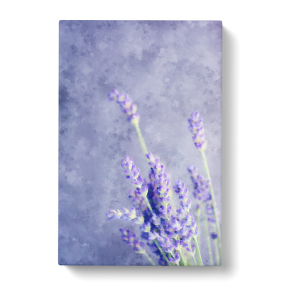 Pretty Purple Lavender Painting Canvas Print Main Image