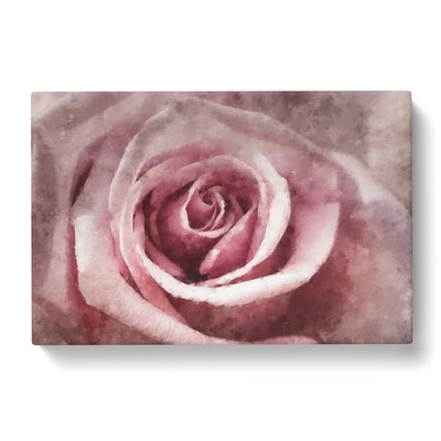 Pretty In Pink Rose Flower Painting Canvas Print Main Image