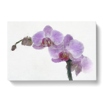 Purple Orchids In Bloom Paintingcan Canvas Print Main Image