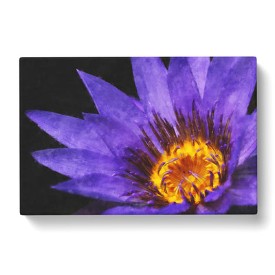 Purple Water Lily Paintingcan Canvas Print Main Image