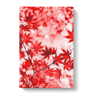 Red Leaves Of A Maple Tree Painting Canvas Print Main Image