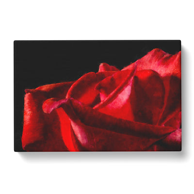 Red Rose Flower Vol.1 Paintingcan Canvas Print Main Image