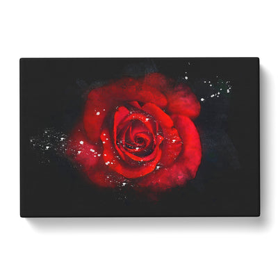 Red Rose In The Shadows Paint Splash Canvas Print Main Image