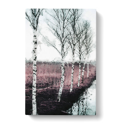 Row Of Birch Trees Canvas Print Main Image