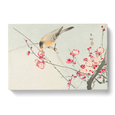 Songbird On A Blossom Branch By Ohara Koson Canvas Print Main Image