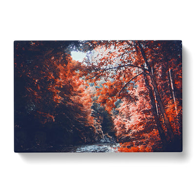 Stream Behind The Red Trees Canvas Print Main Image