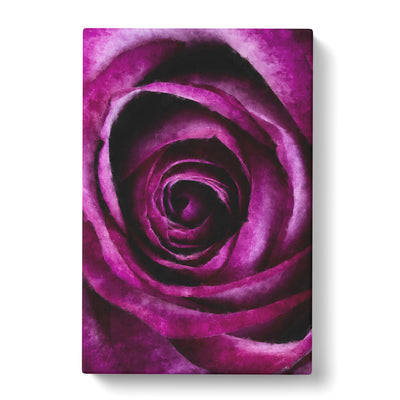 Striking Purple Rose Painting Canvas Print Main Image