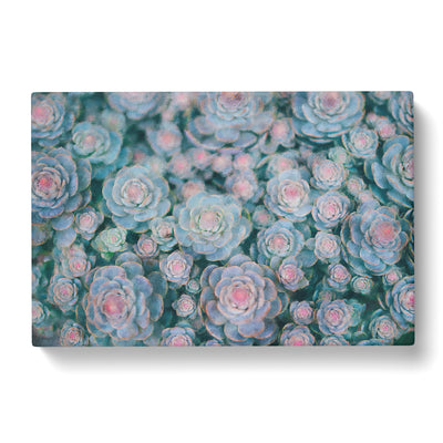 Succulent Plants Abstract Painting Canvas Print Main Image