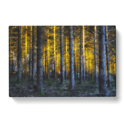 Sunlight Forest Vol.4 Painting Canvas Print Main Image