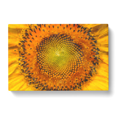 The Eye Of A Yellow Sunflower Painting Canvas Print Main Image