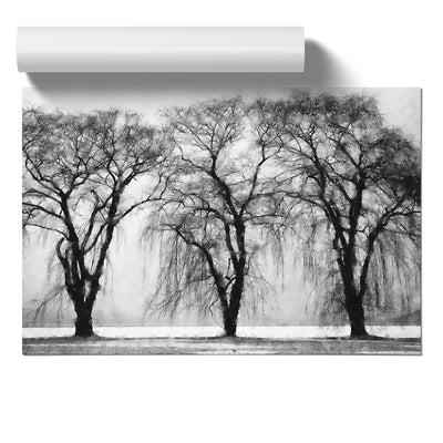 Three Trees At Winter