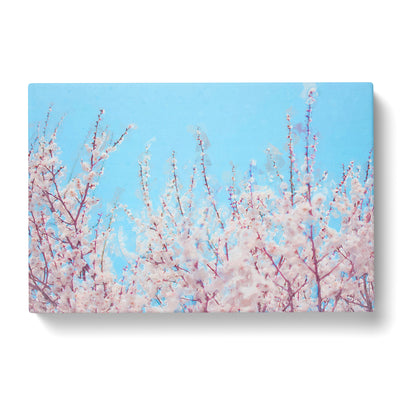 Top Of The Blossom Tree In Abstract Canvas Print Main Image