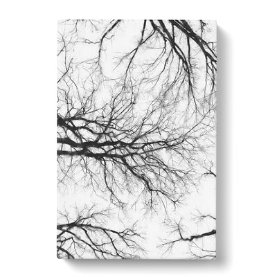 Tree Branches In Central Park New York Painting Canvas Print Main Image
