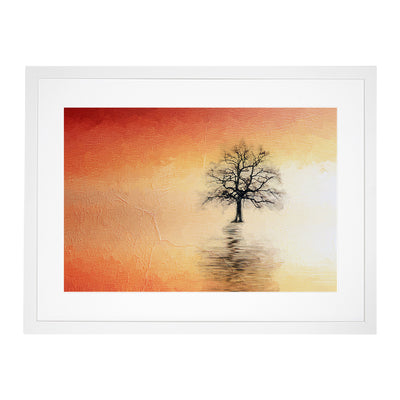Tree Reflection At Sunset