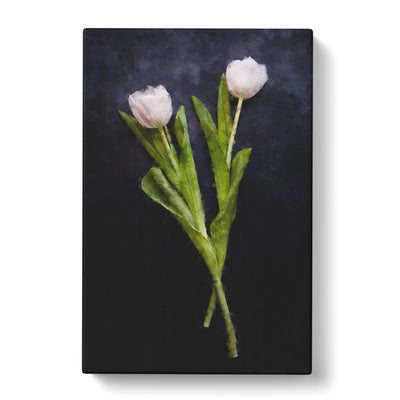 Two White Tulips Painting Canvas Print Main Image