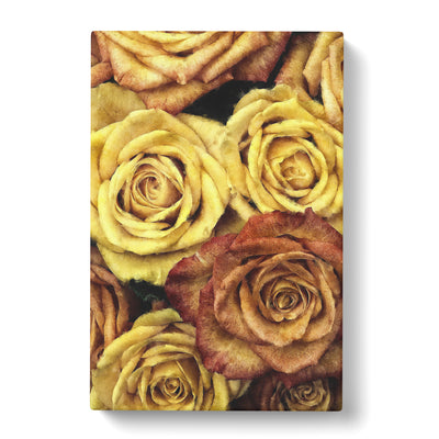 View Of The Roses Painting Canvas Print Main Image