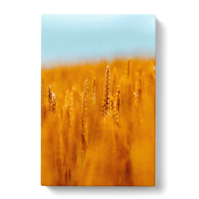 Wheatfield In Germany Painting Canvas Print Main Image