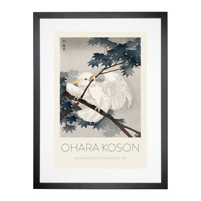 Yellow Crested Cockatoo In A Tree Print By Ohara Koson Framed Print Main Image