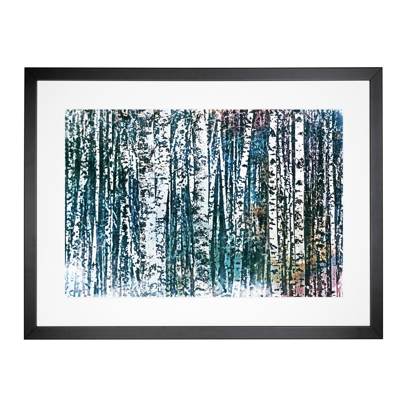 A Birch Treeforest