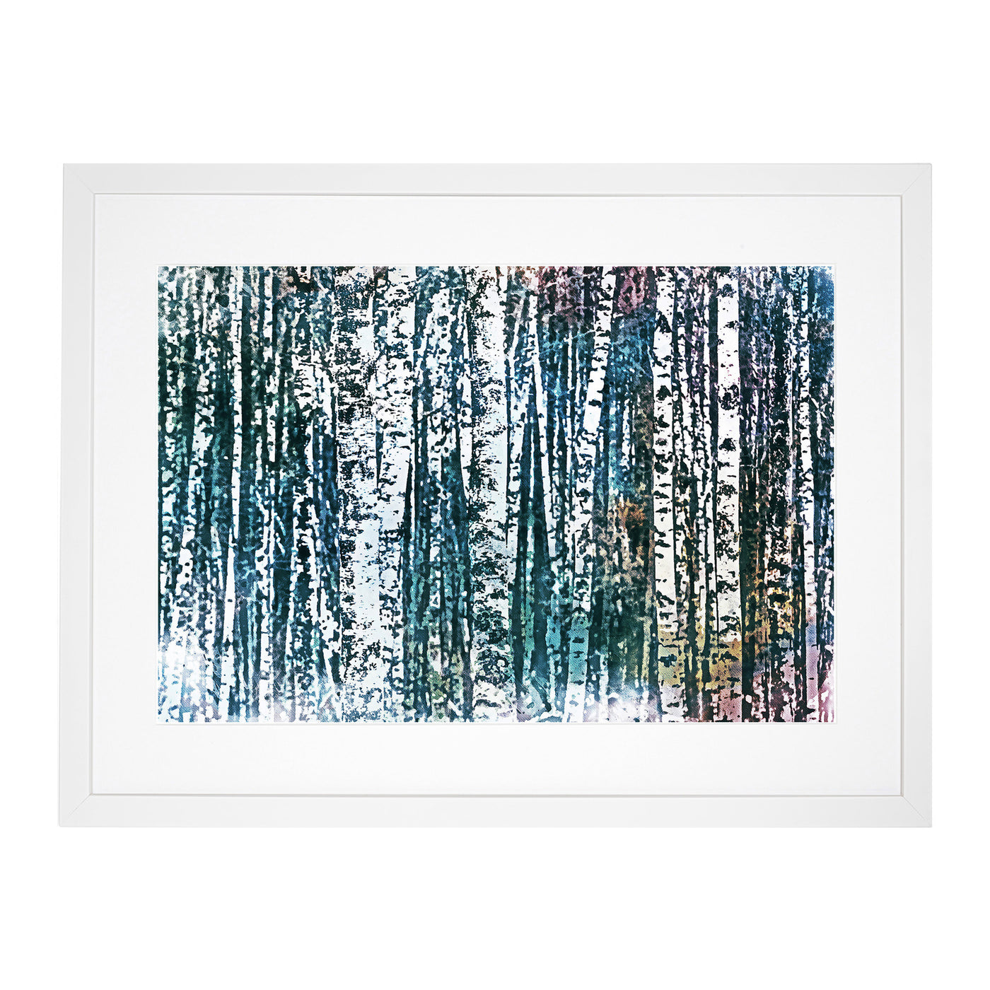 A Birch Treeforest