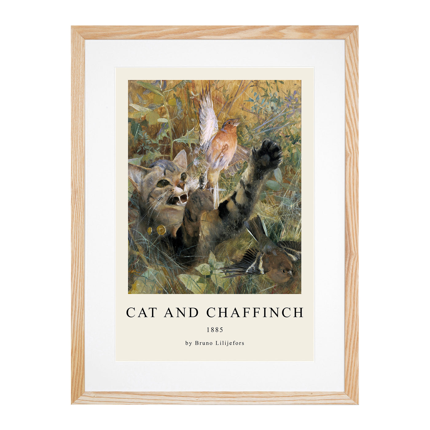 A Cat And A Chaffinch Bird Print By Bruno Liljefors