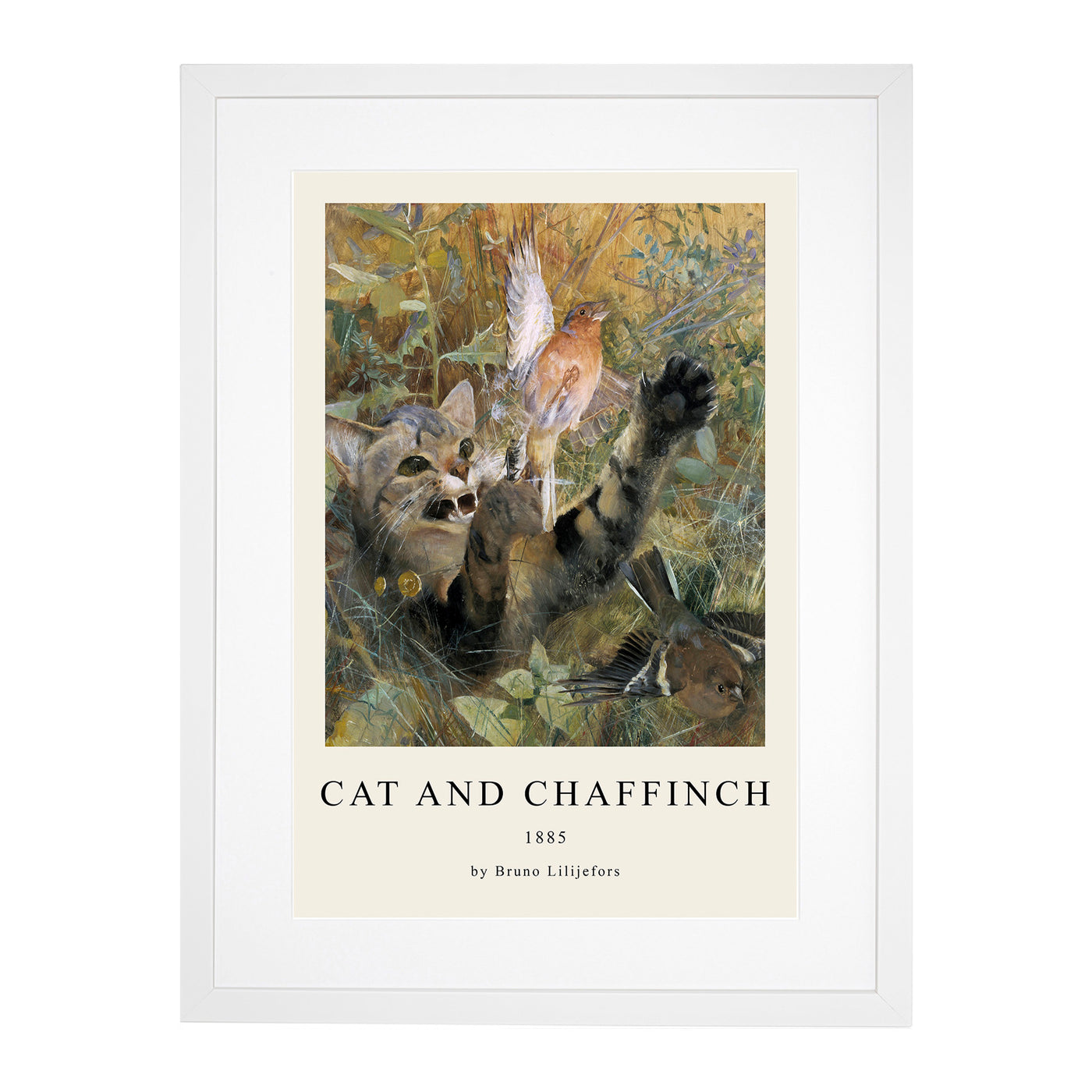 A Cat And A Chaffinch Bird Print By Bruno Liljefors