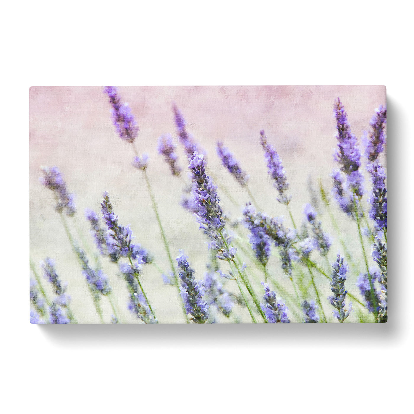 A Field Of Lavender Painting Canvas Print Main Image