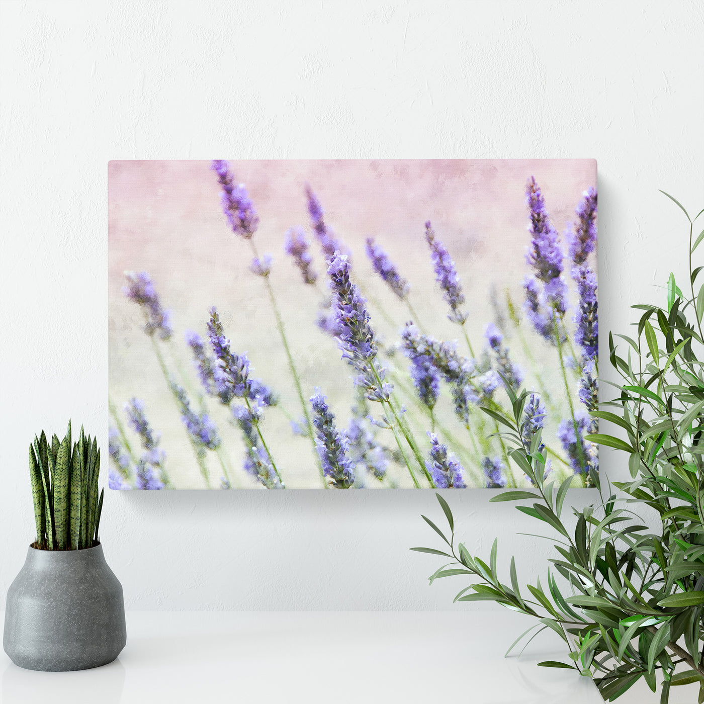 A Field Of Lavender