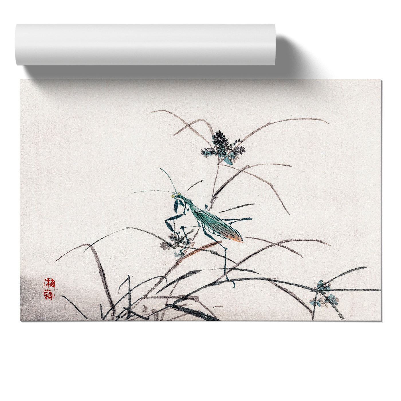 A Grasshopper By Kono Baireir