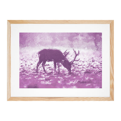 A Grazing Stag