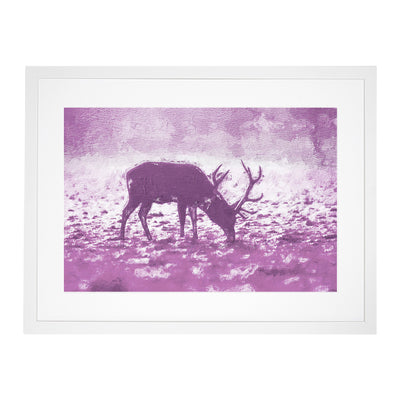 A Grazing Stag