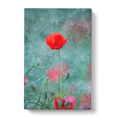 A Lone Poppy Flower Painting Canvas Print Main Image
