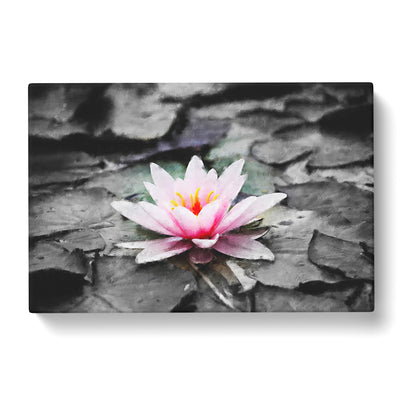 A Pale Pink Water Lily Painting Canvas Print Main Image