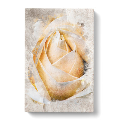 A Peach Yellow Rose In Abstract Canvas Print Main Image