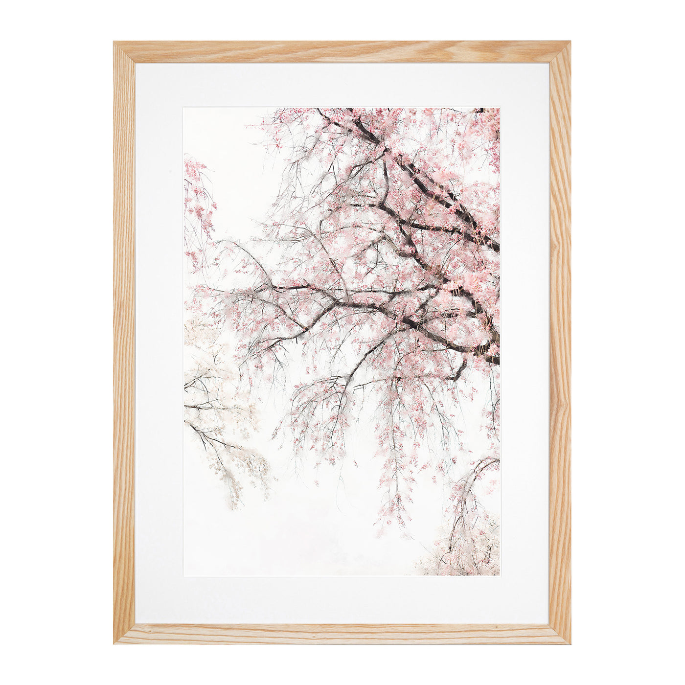 A Pink Cherry Blossom Tree Abstract