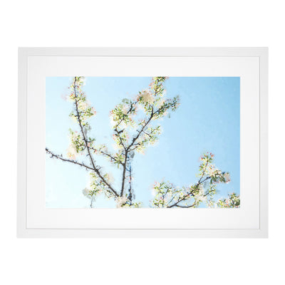 A White Cherry Blossom Tree