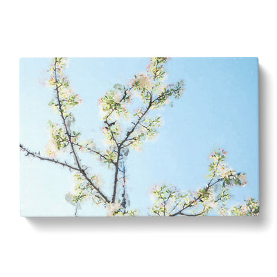 A White Cherry Blossom Tree In Abstract Canvas Print Main Image
